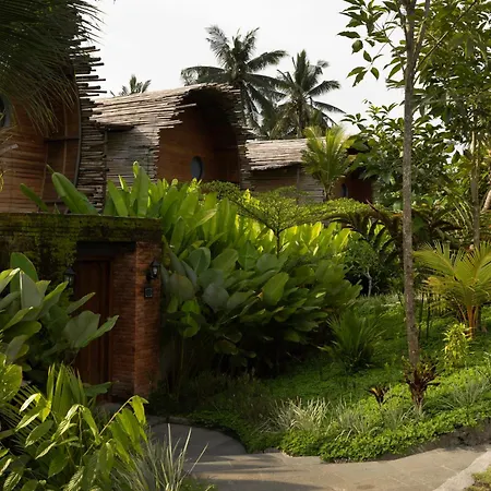 Beehouse Dijiwa Ubud