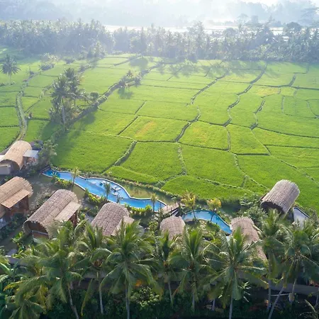 Beehouse Dijiwa Ubud