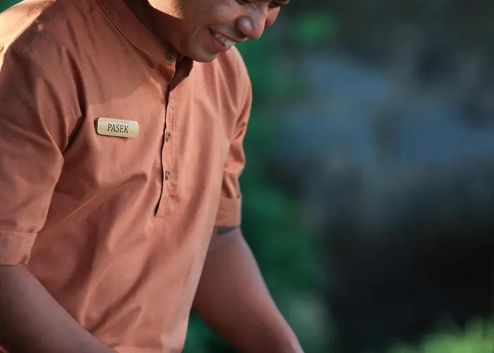 Beehouse Dijiwa ウブド