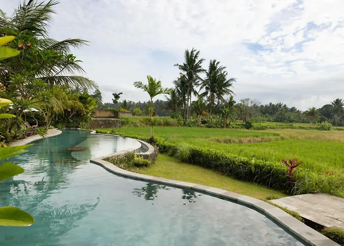Beehouse Dijiwa Resort