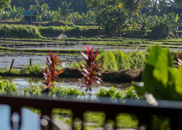 Beehouse Dijiwa Resort 4*