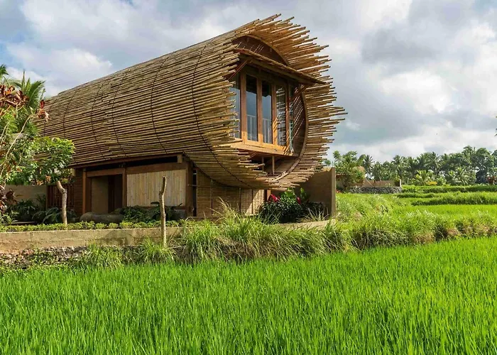 Beehouse Dijiwa